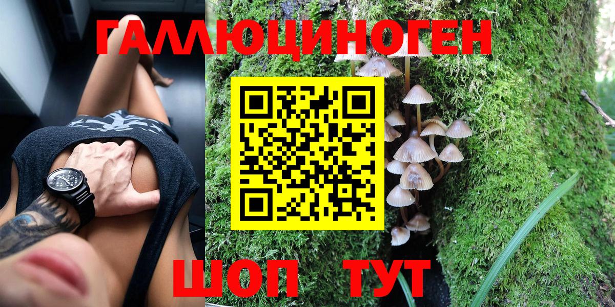 Псилоцибиновые грибы GOLDEN TEACHER  Вход с VPN  Касимов  Галлюциногенные грибы прущие грибы 