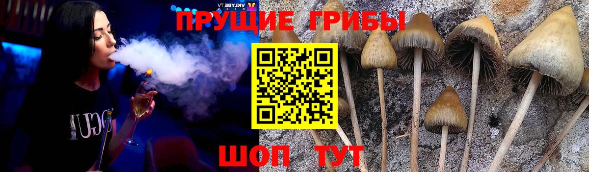 Галлюциногенные грибы ЛСД Касимов